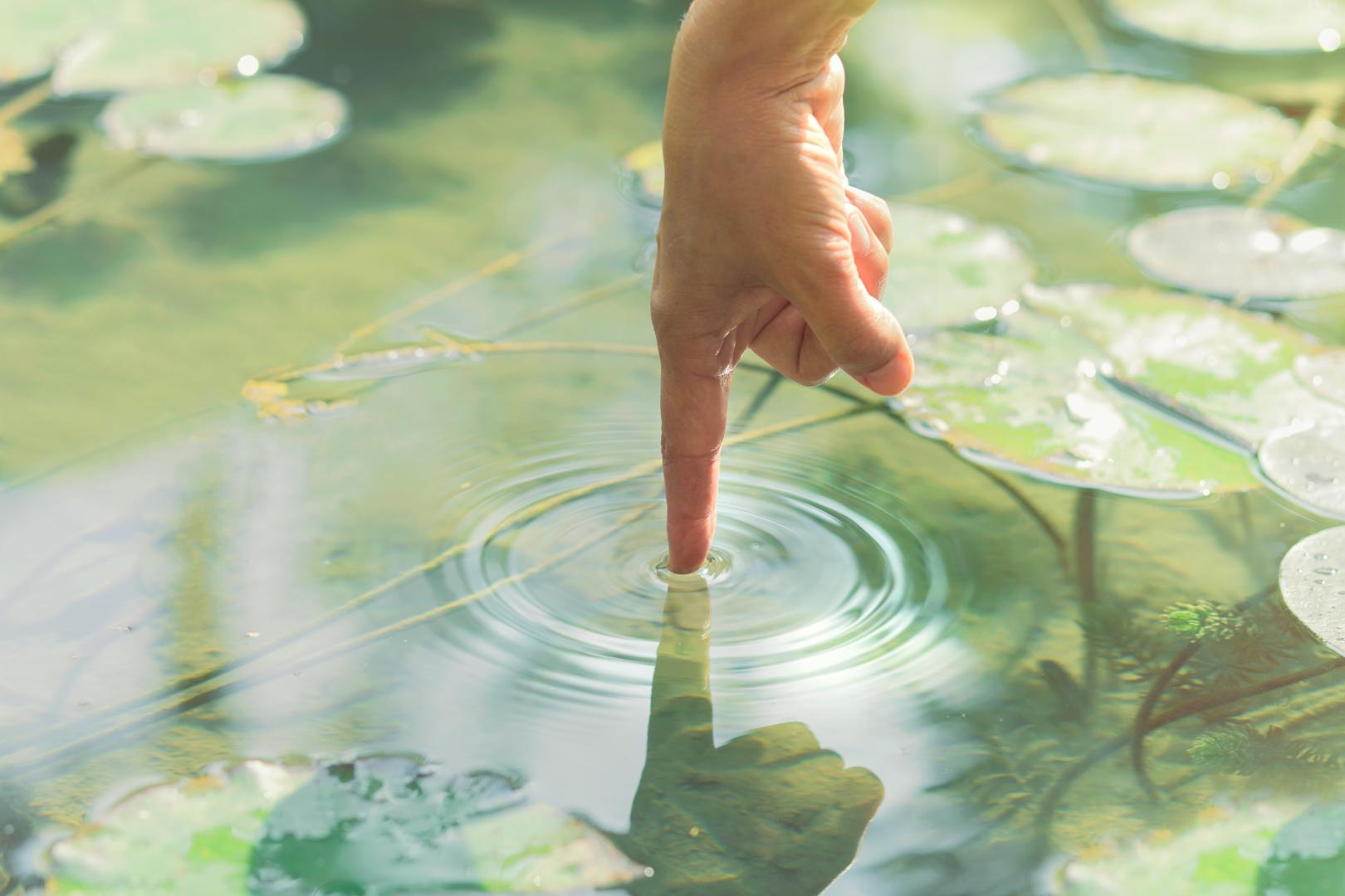 Eau apaisée — ondes concentriques d'un doigt qui effleure la surface
